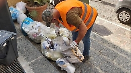 Agrigento, rifiuti non differenziati: scattano le multe per alcuni esercenti