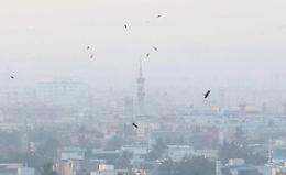 Gli pneumologi avvertono: &laquo;Noi siamo l&rsquo;aria che respiriamo&raquo;