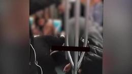 Roma metro B, ladro tenta di borseggiare una donna: furto sventato da un turista che lo blocca