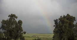 Siria: ong, 53 civili uccisi in un attacco dell'Isis