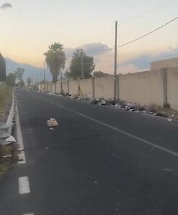 Stradale Coda Volpe: &laquo;Questo &egrave; il porta a porta?&raquo;