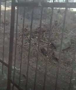 Gravina di Catania: &laquo;Tutto pronto per il prossimo fal&ograve;&raquo;