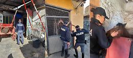Cavalli in un cortile e in un garage, scoperte altre stalle abusive a San Cristoforo