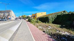 Dove correvano i treni ora crescono i rovi