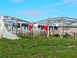 Marina di Acate, l'hub sanitario per gli "invisibili" fa discutere