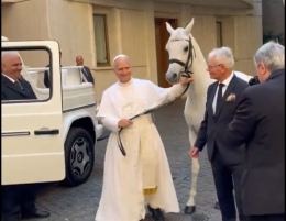 Ecco Proton, il purosangue arabo che una scuderia polacca ha donato a Papa Leone XIV  