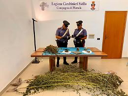 La marijuana coltivata in casa, piante da 3,5 metri e 300 grammi di "erba": arrestato 59enne a Marsala