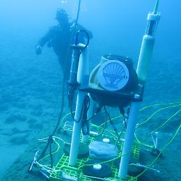 Nel Mar Ionio il primo sistema europeo che ascolta la voce del mare, dal canto dei gamberetti all'impatto delle navi: si chiama "Vongola"