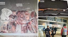 Bracconaggio in provincia di Ragusa, la Cassazione conferma le sanzioni in carico a sei cittadini maltesi