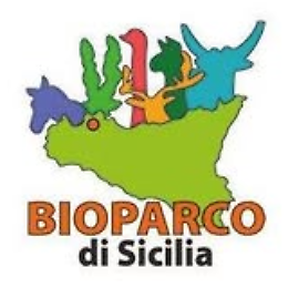 Domenica incantata al Bioparco di Sicilia: Natale tra animali, laboratori e magia