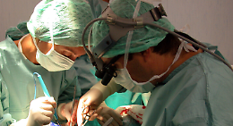 Dona rene ad una sconosciuta: a Padova il prezioso caso di "donazione samaritana"