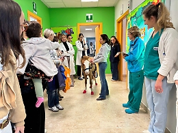 Festività e sorrisi all'ospedale Cervello: un pony vestito da Babbo Natale per distribuire doni ai bambini
