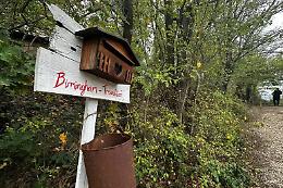 Famiglia nel bosco, legali presentano nuova istanza: "I bimbi usano anche cucchiaini di plastica"