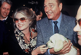 Da diva del cinema a paladina degli animali