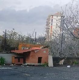 A Catania vandalizzata la casetta dei gatti: colpito un simbolo di civilt&agrave; e cura del territorio