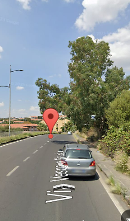 Catania: rami pericolosi sul percorso verso il Liceo Scientifico Statale Galileo Galilei