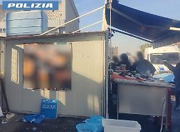 Polizia di Stato smantella pescheria abusiva a Nesima, Catania: 40 kg di pesce non tracciabile sequestrati