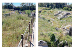 Quando la natura soffoca la storia: turisti tra meraviglia e contraddizione
