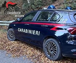 Bracconieri nel cuore dei Nebrodi: tre denunciati, fucile e due suini neri ritrovati