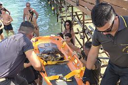 Tartaruga Caretta Caretta in difficolt&agrave; salvata dai vigili del fuoco all&rsquo;Arenella

