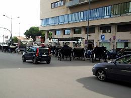 Il Comune ci prova: &laquo;Basta carrozze e mezzi elettrici al posto dei cavalli&raquo;