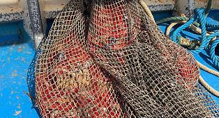 Pesca in zona non consentita, sette multe a imbarcazioni nella Baia di Santa Panagia: distrutti 14 chili di prodotti ittici