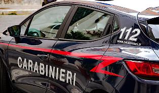 Muore sbranato da due rottweiler mentre raccoglieva frutta: la tragedia in Salento