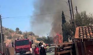 Fiamme minacciano una decina di case: elicottero e protezione civile in azione