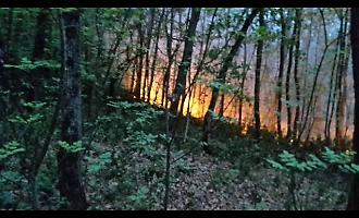 Siracusa, due anni dopo gli incendi i ristori restano un miraggio: fondi insufficienti, errori tecnici e una provincia lasciata ai margini