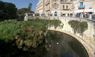 Siracusa, a rischio la sopravvivenza degli antichi papiri della Fonte Aretusa