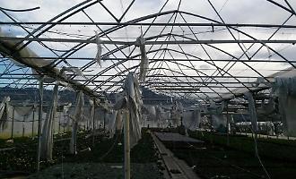 Stangata sui costi agricoli: plastica e forniture alle stelle