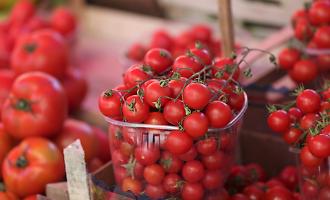Aumento del 6,5% per il pomodoro di Pachino e poi scatta lo sciopero dei trasporti: "Siamo in ginocchio"