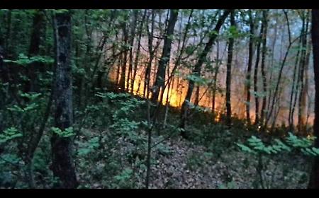 Siracusa, due anni dopo gli incendi i ristori restano un miraggio: fondi insufficienti, errori tecnici e una provincia lasciata ai margini