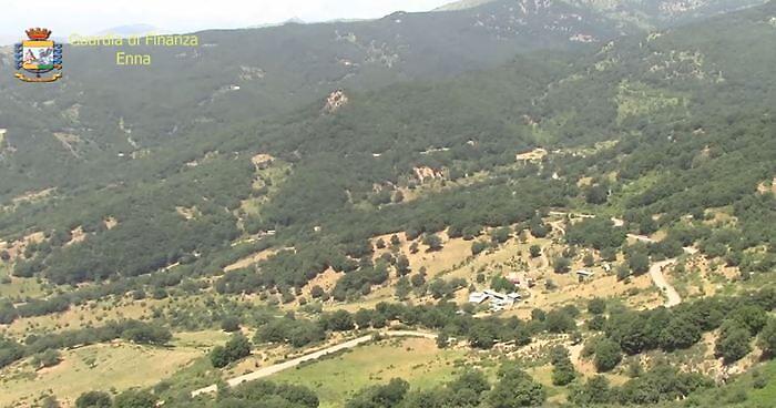 Mafia dei Nebrodi, perquisizioni e avvisi di garanzia per 14 indagati nel Nisseno 