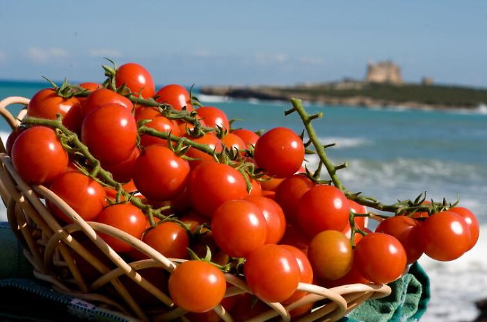 I pomodorini di Pachino 