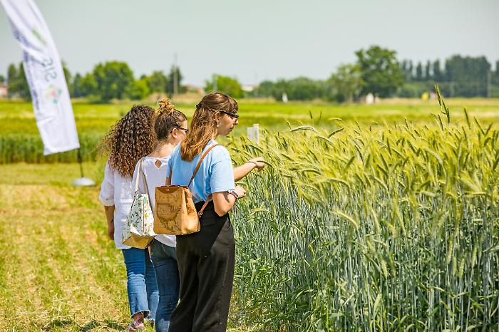 Torna la Banca delle Terre: a disposizione 14mila ettari di terreni, il 40% in Sicilia