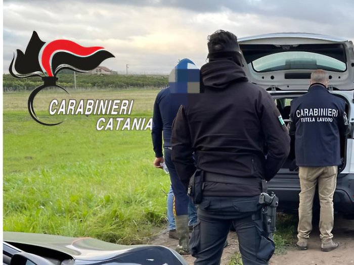 Caporalato, controlli nelle campagne di Mineo e Scordia: denunce e sospensioni