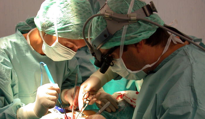 Dona rene ad una sconosciuta: a Padova il prezioso caso di "donazione samaritana"