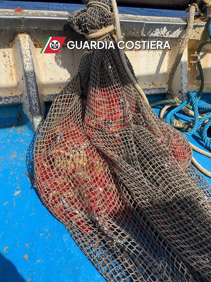 Riserva per il ripopolamento violata: due motopesca di Mazara del Vallo fermati, sequestrati circa 130 kg di gamberi