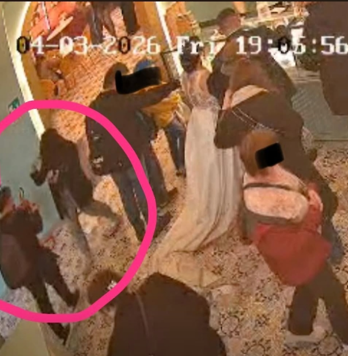 A Catania i social inchiodano i ladri: busta da 5.000 euro, ma anche piante e grondaie nel mirino