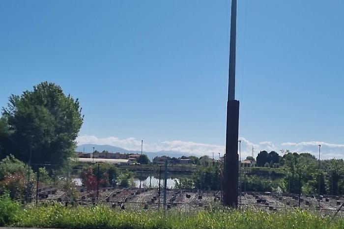 Il mistero del coccodrillo di Pistoia: Indagini a tutto campo nel laghetto artificiale