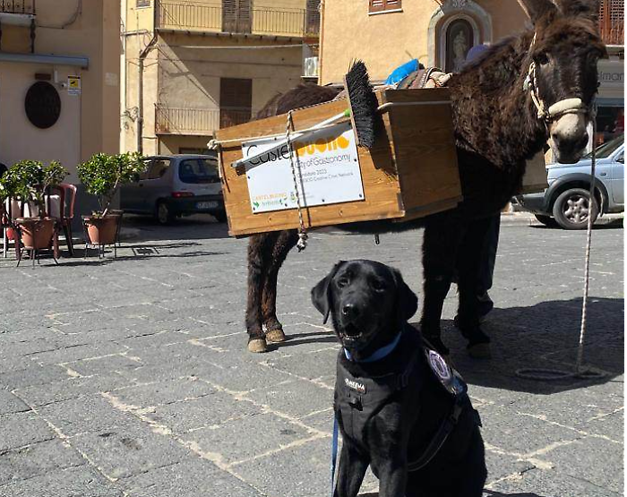 Rifiuti, in Sicilia premiati 39 &ldquo;Comuni ricicloni&rdquo;: menzione speciale per il cane &ldquo;puliziotto&rdquo; di Castelbuono