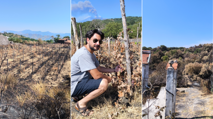 Nei borghi dell'Etna sconvolti dagli incendi, &laquo;chi &egrave; stato conosce bene il territorio&raquo;. L'imprenditore: &laquo;La mia vigna distrutta&raquo;