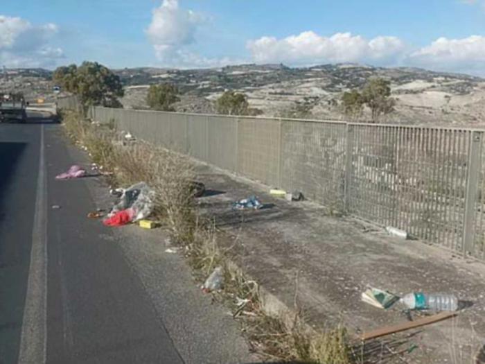 Erbacce e rifiuti sulla Sp 180: «Uno scenario indecoroso»